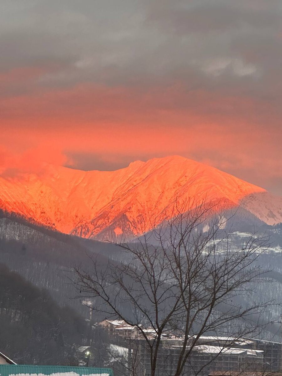 Мандариновая гора.