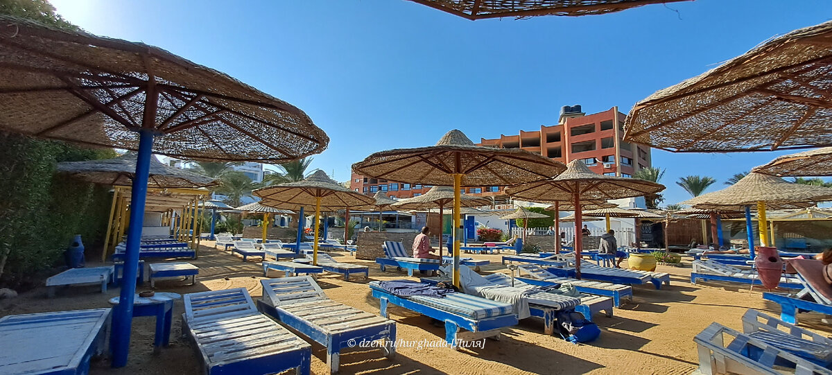 Фото из Египта с любовью для Дзена.