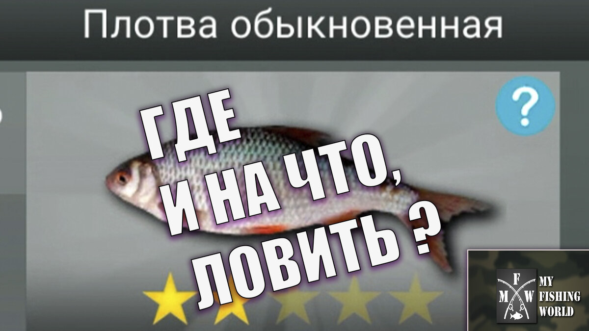 рыба солдат my fishing world где ловить | Дзен