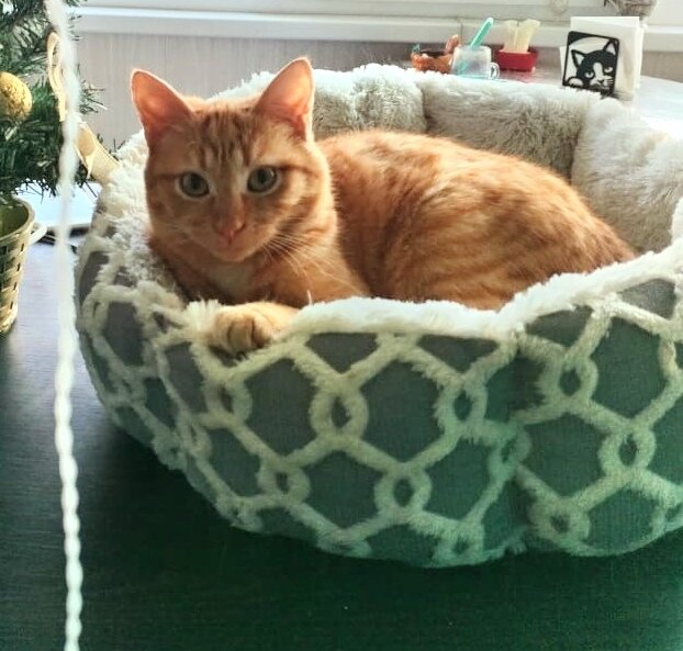 уют и забота