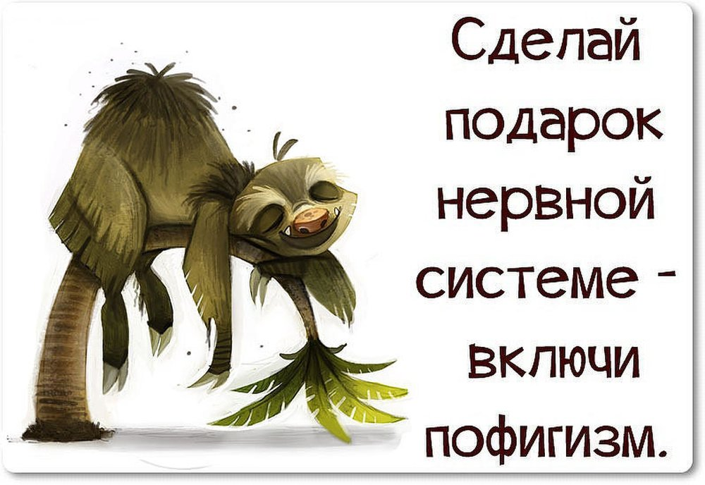 Включи жизненном. Сделай подарок нервной системе включи пофигизм. Высказывания про нервную систему. Прикольные высказывания про нервы. Пофигизм