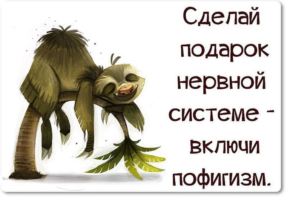 А нам это пофигу пофигу текст. Сделай подарок нервной системе включи пофигизм. Высказывания про нервную систему. Прикольные высказывания про нервы. Пофигизм.