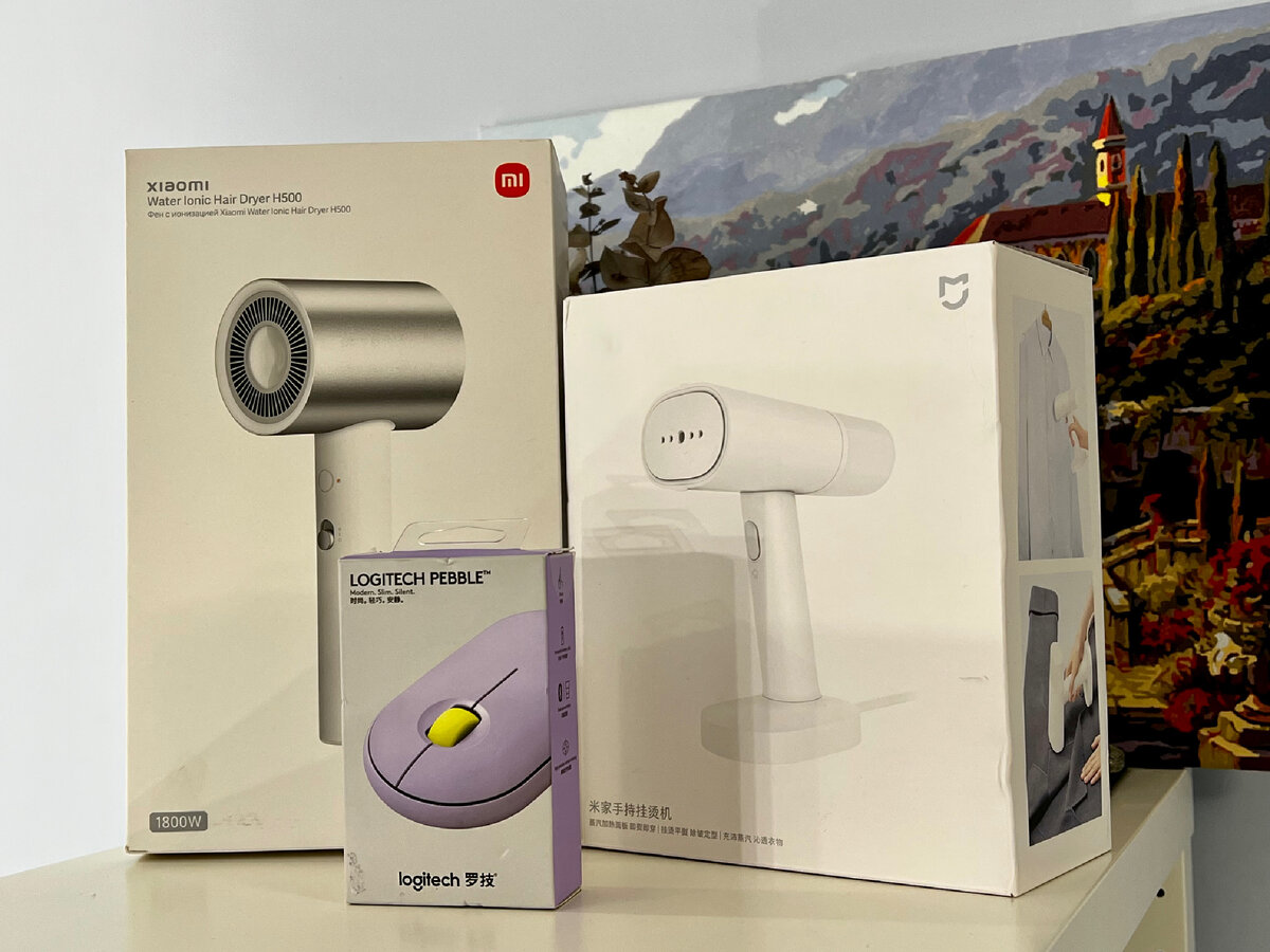 Это не реклама, все вещи куплены за деньги мной или моим мужем в целях личного пользования. Отпариватель стоил 2200 рублей, фен  - 4900 рублей. Цена мышки 2300 рублей.