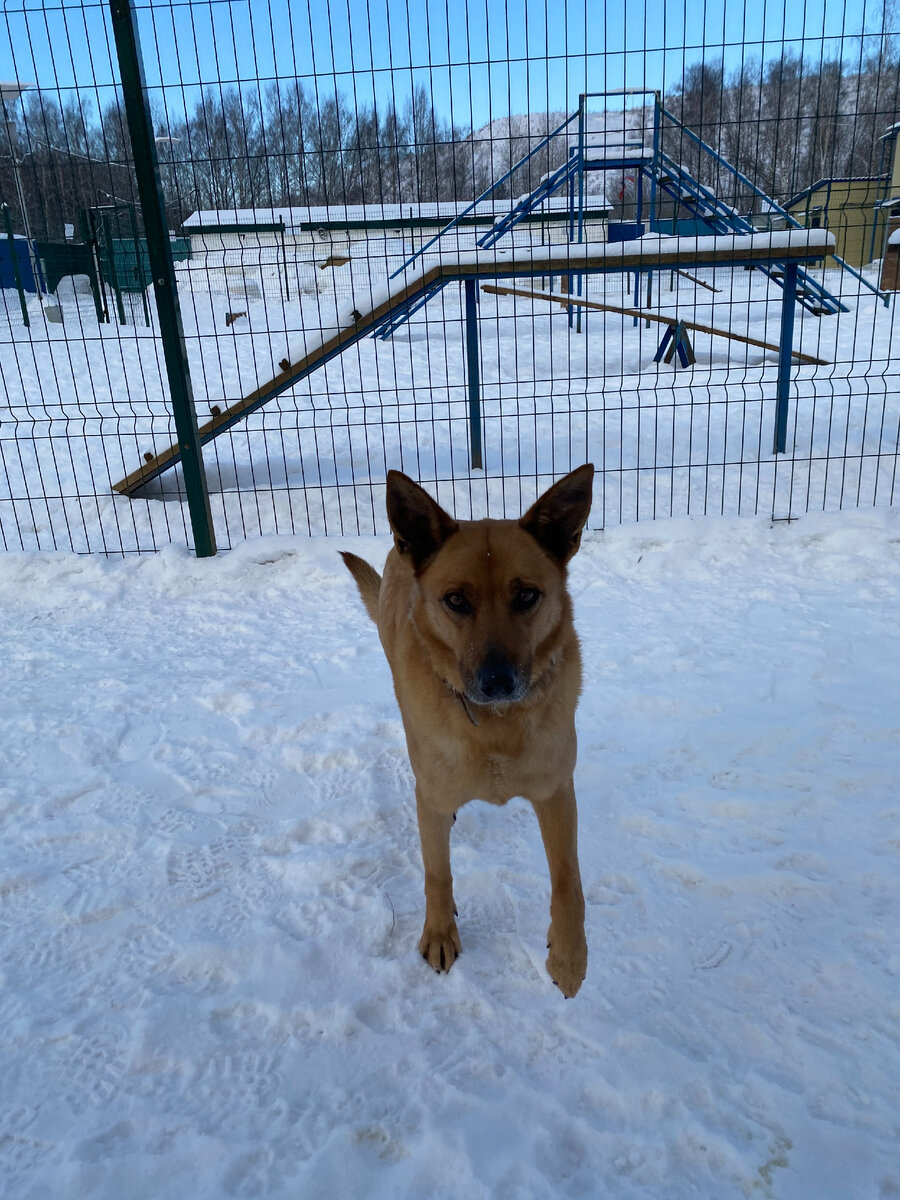 А это вторая сестричка Дженни.