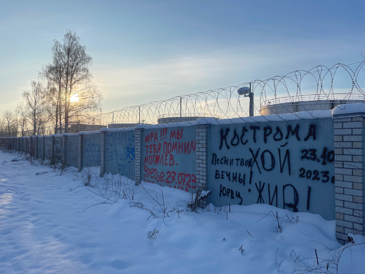 Левобережное кладбище. Юрий Хой, лидер группы 