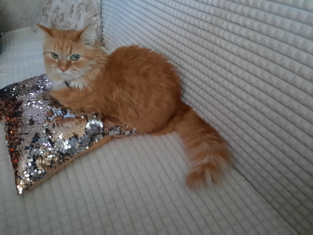 Ну,красотка 