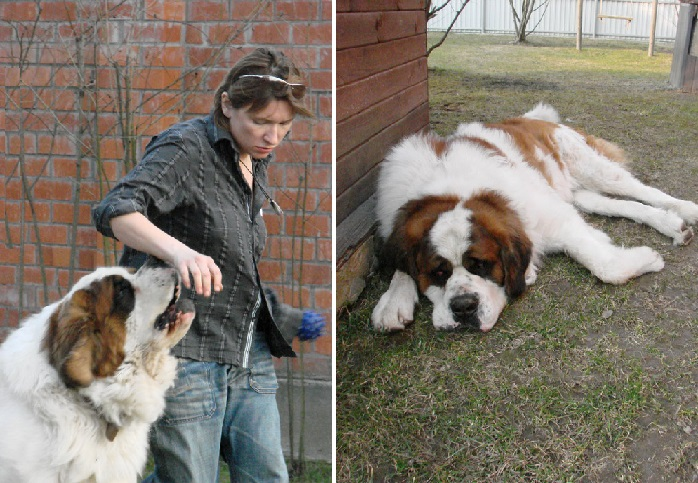 Задания по родному русскому языку. Сл гр. Тематические слова. Цой группа крови аккорды. Тематические группы гто.