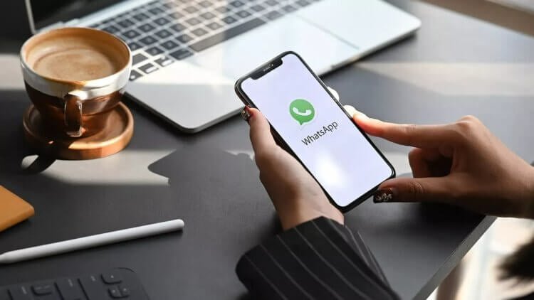    Читать сообщения в WhatsApp на iPhone можно незаметно. Изображение: applespbevent.ru