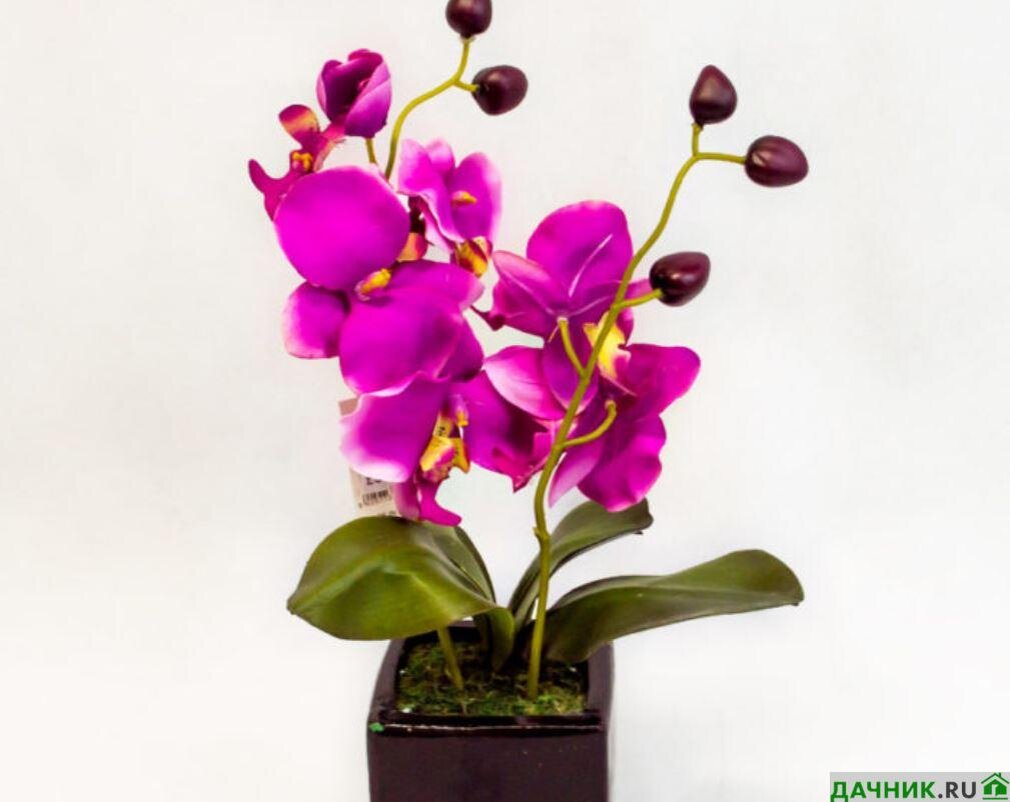 Расставь запятые. Укажите предложение в котором. Знаки препинания. Расставьте запятую в нужном месте. На месте каких цифр нужно поставить запятые.