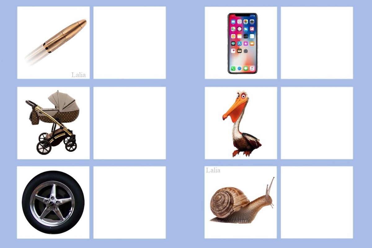 Пуля, коляска, колесо, телефон, пеликан, улитка.