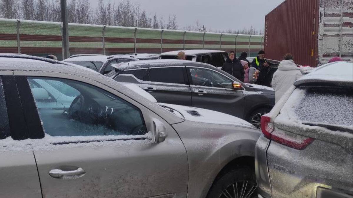    Фото: Telegram / УГИБДД УМВД России по Новгородской области