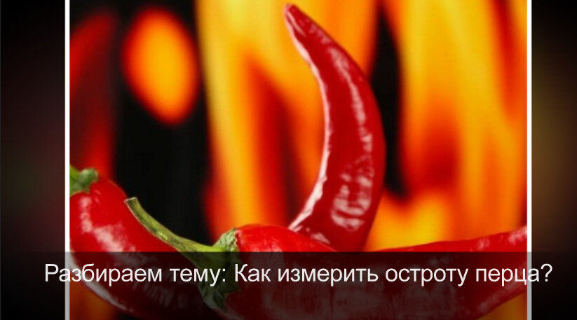 Человека 4 разбор