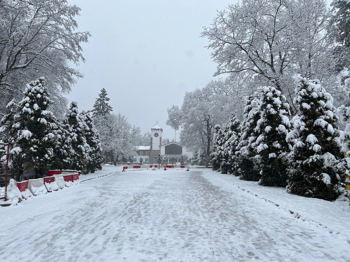 новогоднее украшение города. новый год в рб. празднование нг в минске. новогодний гродно. минск зимой 2022.