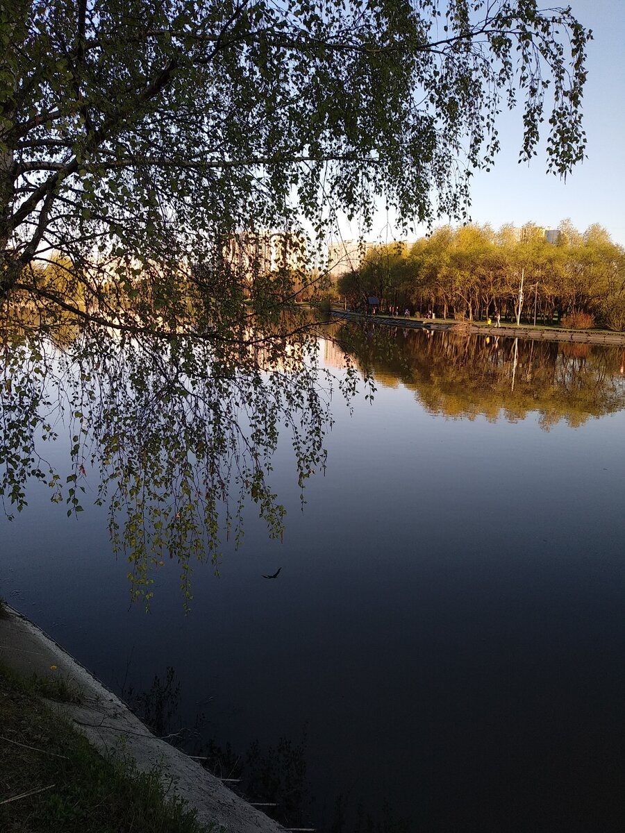 Усадьба Алтуфьево | ПаркоВорот: парки и природа городов | Дзен