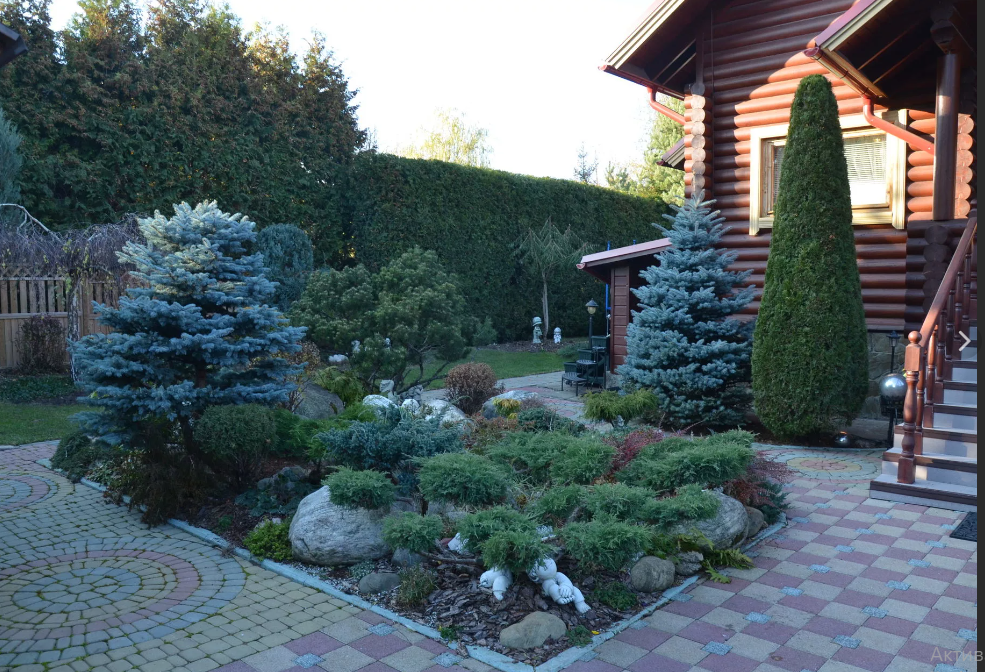 Из хвойных можно создать замечательный ландшафт
