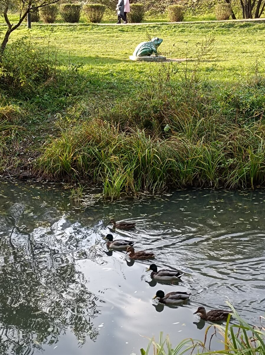 Этнографическая деревня кострома белгородская область. Историко-этнографический музей «шушенское». Этнографический поселок. Парк ключи в селе кострома прохоровского района. Этнографическая деревня 19 века белгородской области.