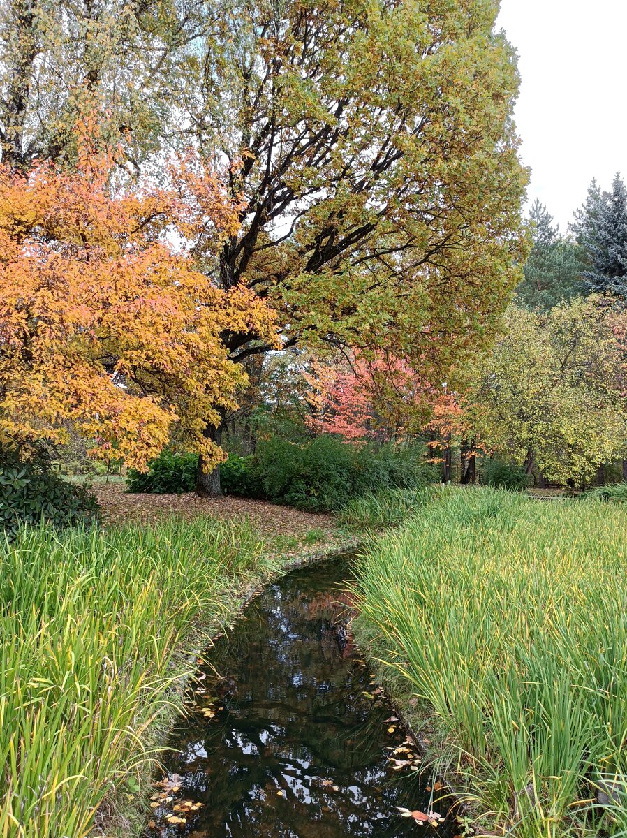 ботанический сад билет экскурсия. парк-дендрарий ботанического сада спб. ботанический сад график работы. ботанический сад спб водная оранжерея. режим работы ботанического сада в санкт-петербурге.