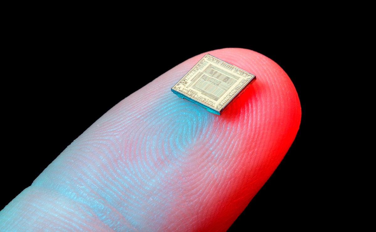 микрочип