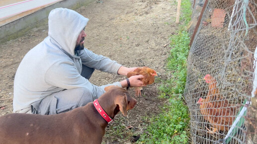 И в горе и в радости продолжение фразы. Поиск плана решения задачи. Даст вопросу решение. Признание различия во мнениях и готовности ознакомиться с иными. Даст вопросу решение.