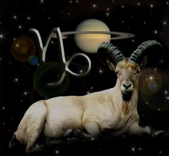 Конструктивный знак Козерога. 