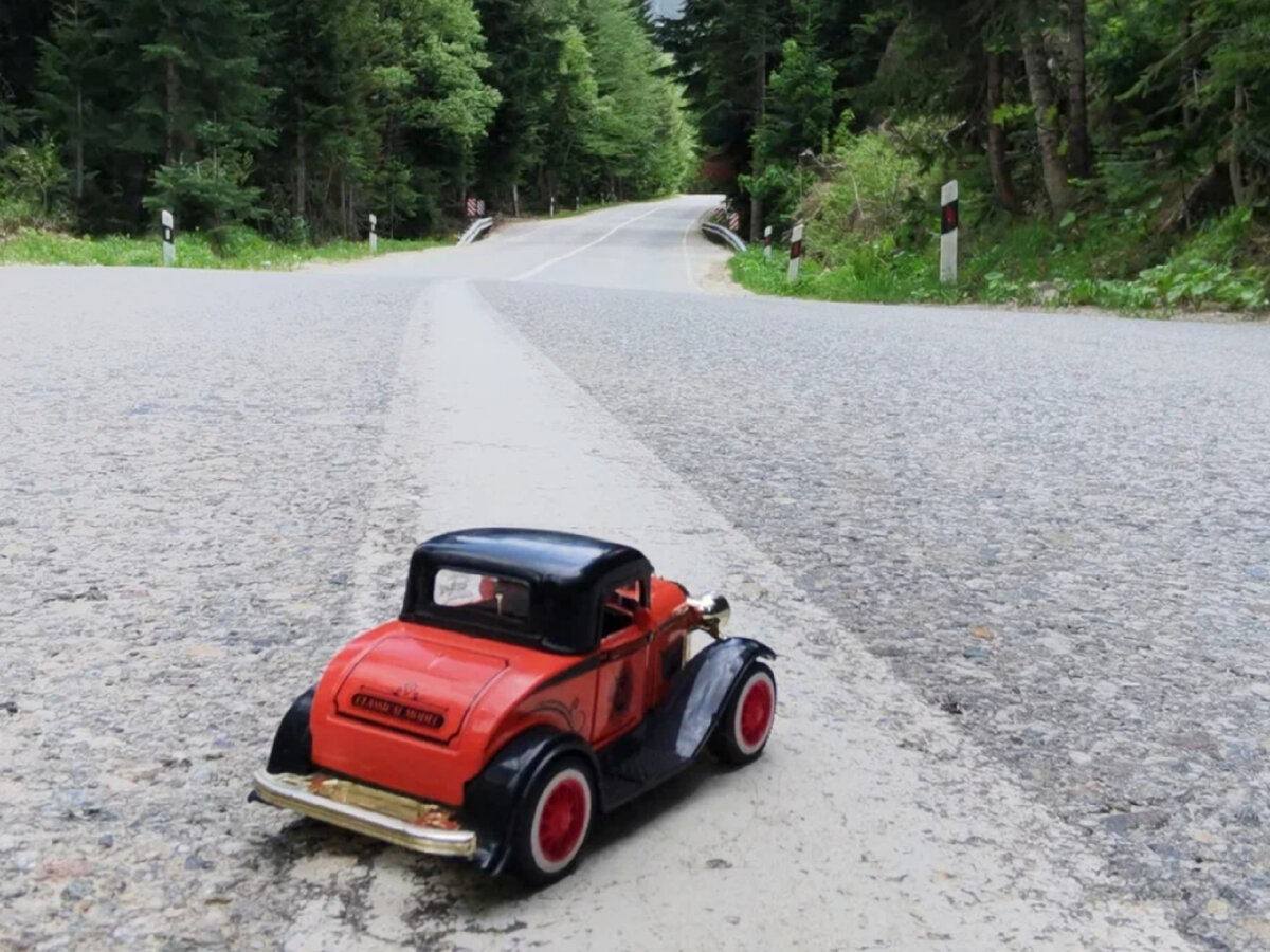 Фото автора