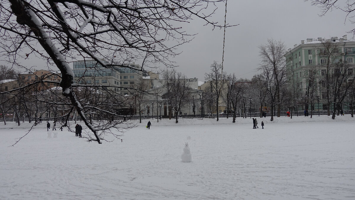 Чаше чистые пруды. Каток на чистых прудах официальный сайт. Каток на чистых прудах 2022. Чаше чистые пруды. Чистые пруды 2023.