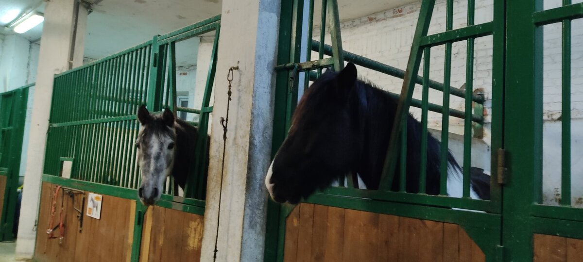 в конюшне замка Нессельбек