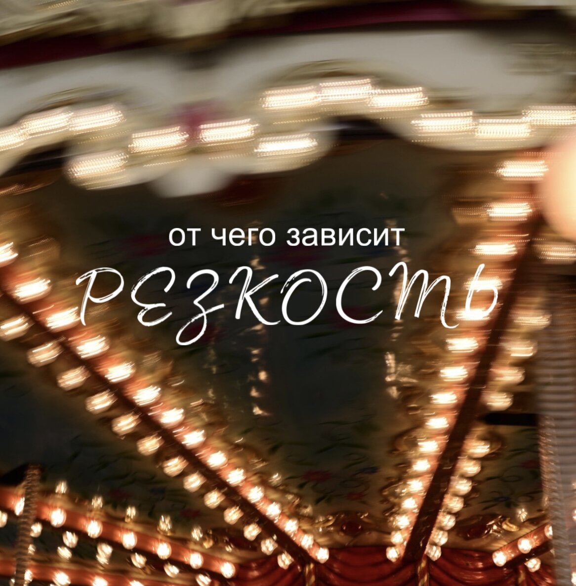 Фото Дарьи Полиевой