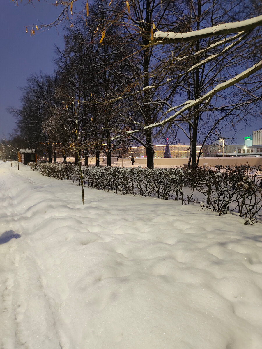 Фото автора 