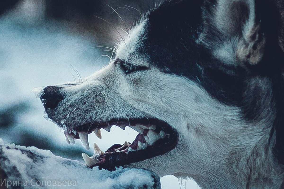 Личные границы - это про доверительные отношения и безопасность. 