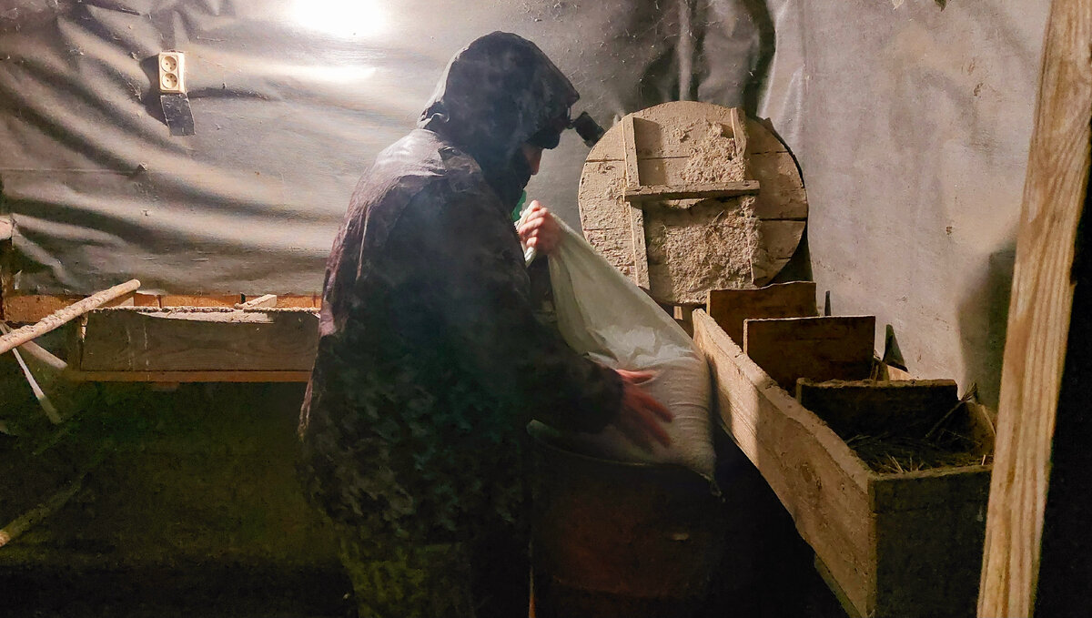 Ячмень привезли из старых запасов и пересыпали в бочку