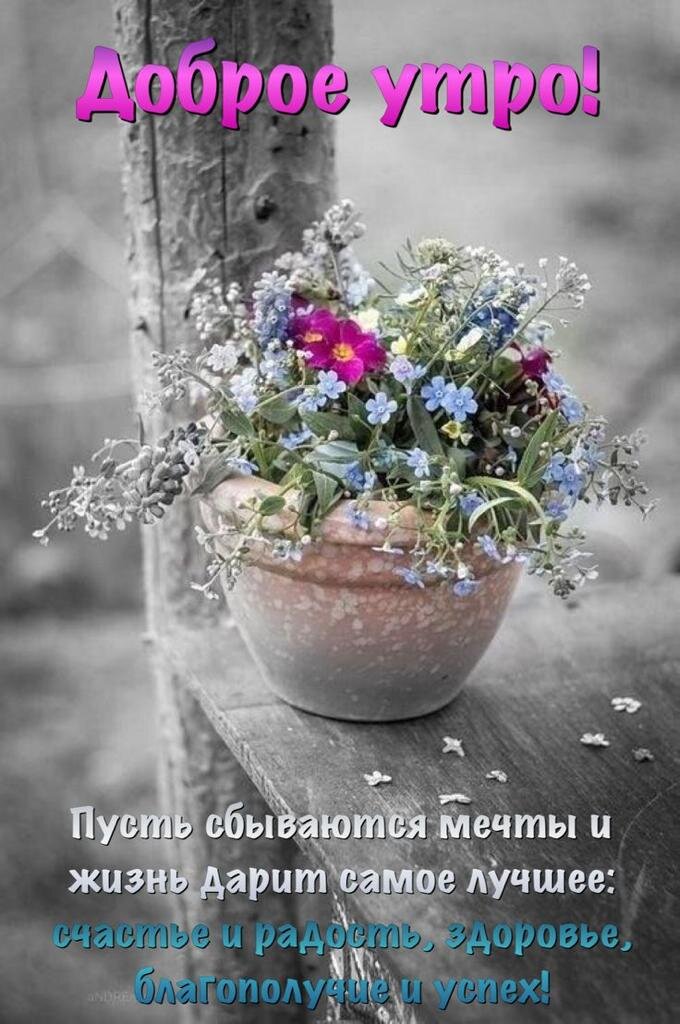 Для друзей.