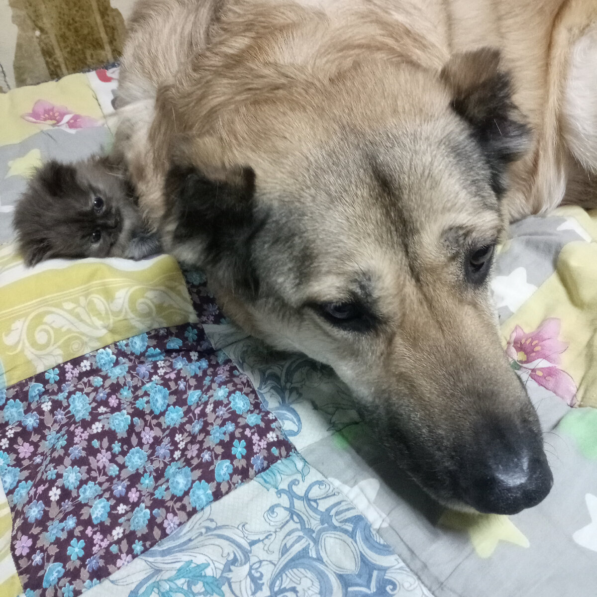 Настоящая любовь меняет. "this is young & renshaw". Зинченко мсц ехб. Девушка с другим парнем. Любви все равно.