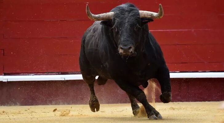 Фирма поиск. Валберис интернет магазин казахстан. Интернет провайдер дизайн. Экорол параметры и размеры. Сеть интернет.