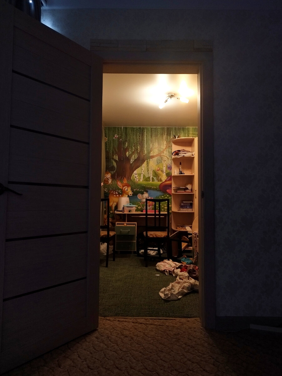 Дверь в светлое будущее пятой уборки за день