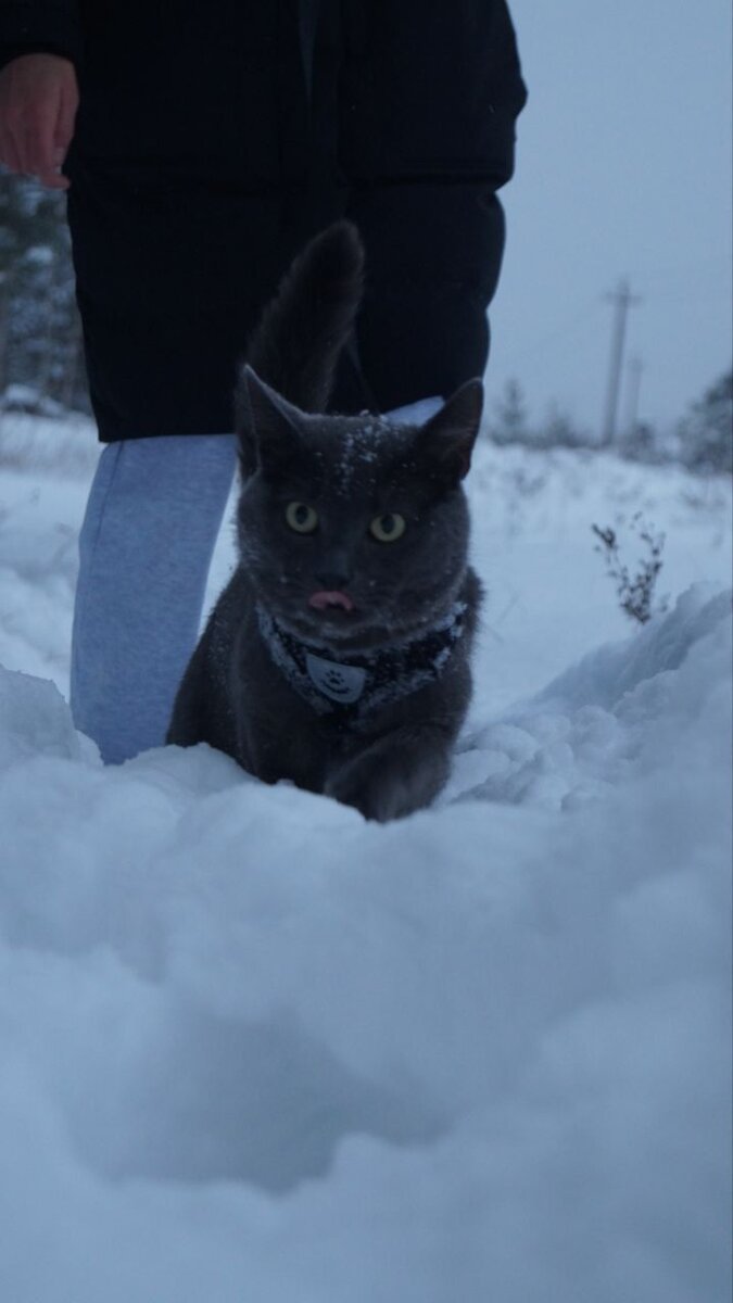 Так, пойду какой-нибудь запретный плод слопаю!)) Пока кожаная не видит))
