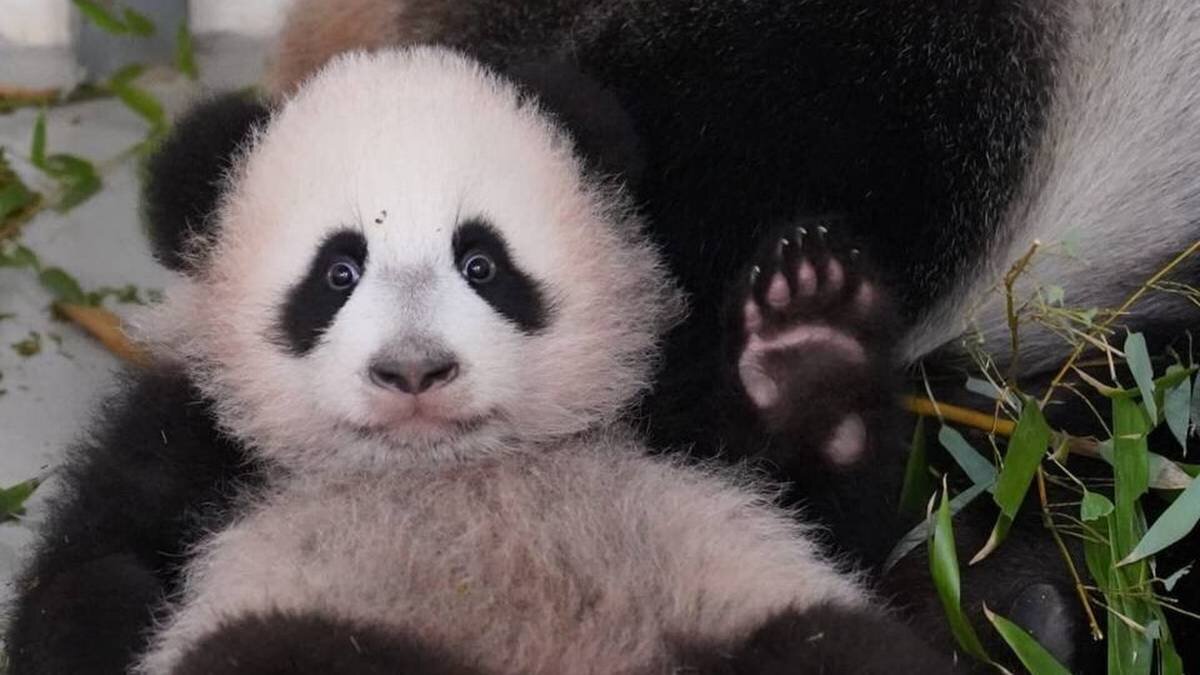    Фото: Telegram / Светлана Акулова