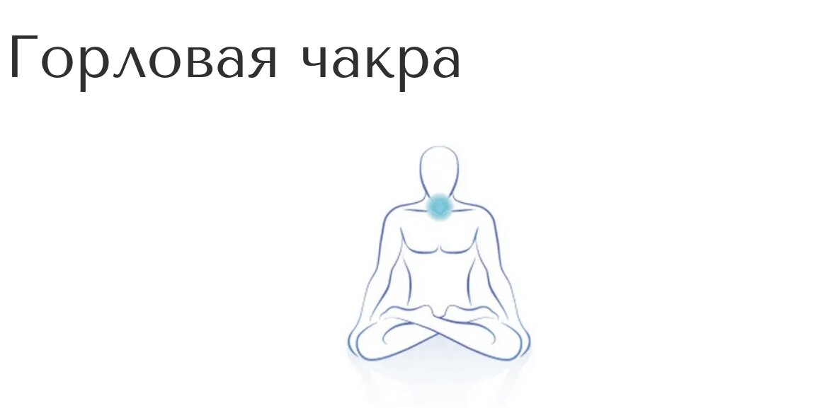 Осанка. Соотношение понятий соматотип и конституция. Фигуры вращения. Части торса. Характеристика пропорций тела человека.