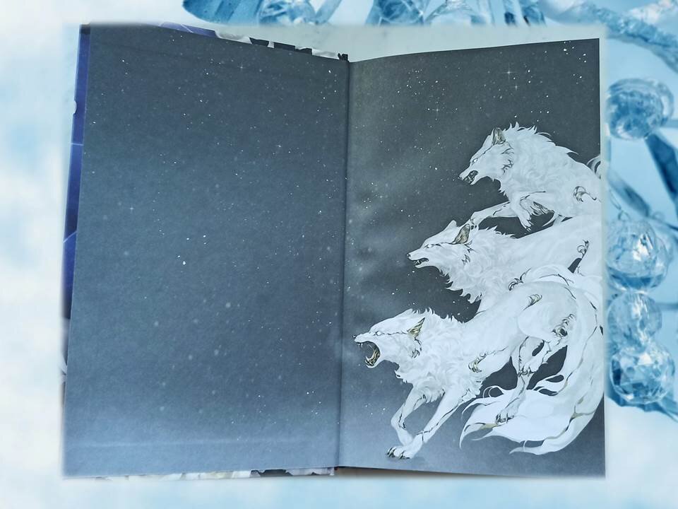 Форзацы книги
