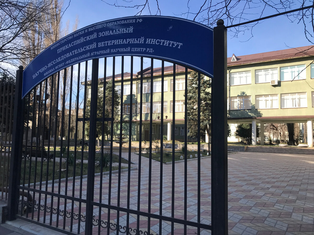 07 января 2024 11:02