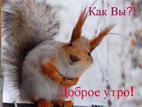 фото с интернета 