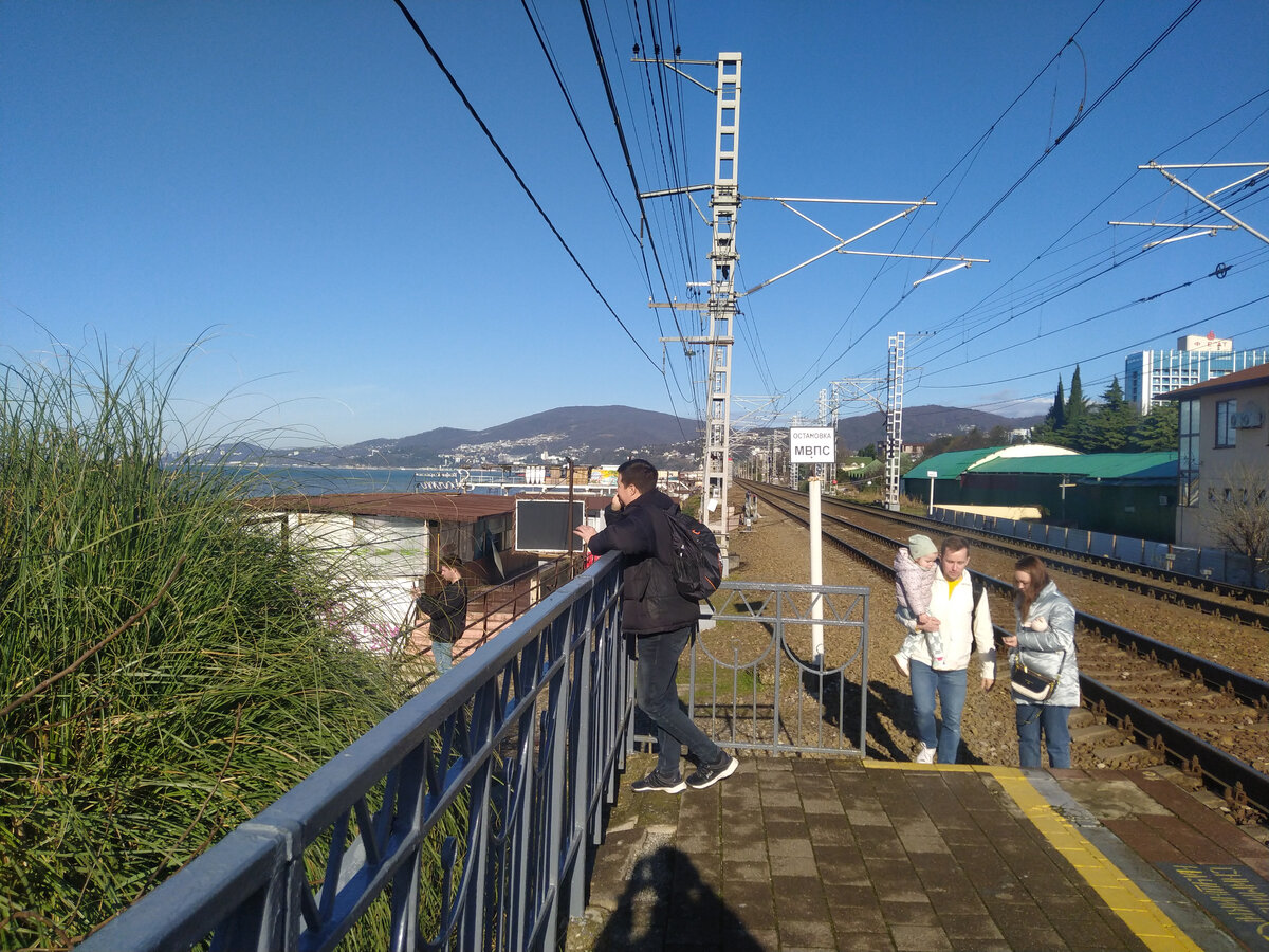 Ясная погода в Сочи в январе на новогодние каникулы 2024