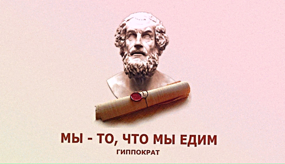 Рисунок из открытых источников Яндекс.