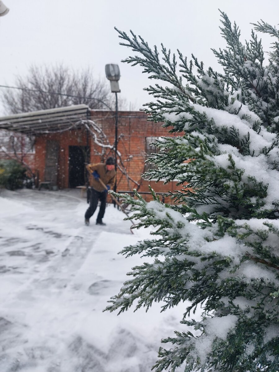 Фото автора