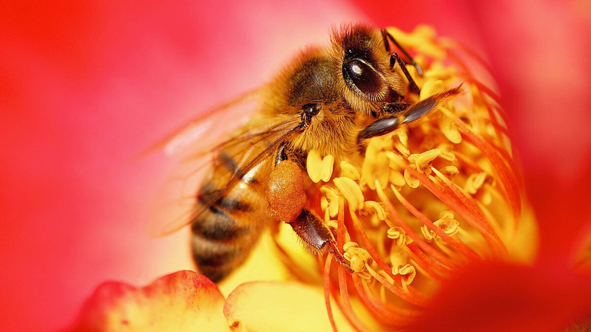 источник фото: Яндекс.Картинки