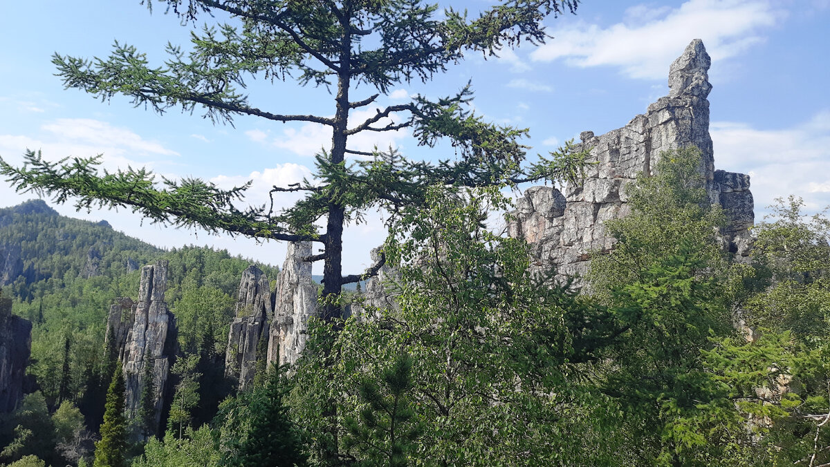 Инзерские зубчатки