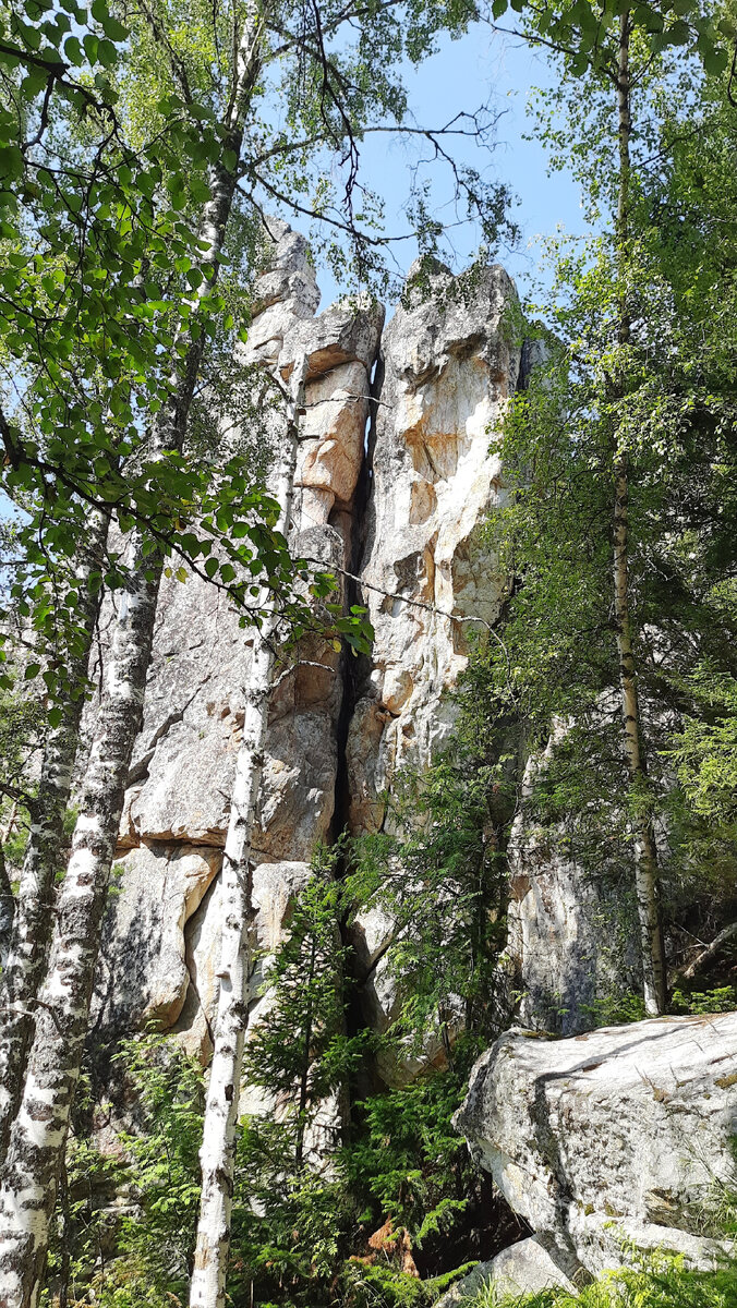 Как природа могла создать такое?