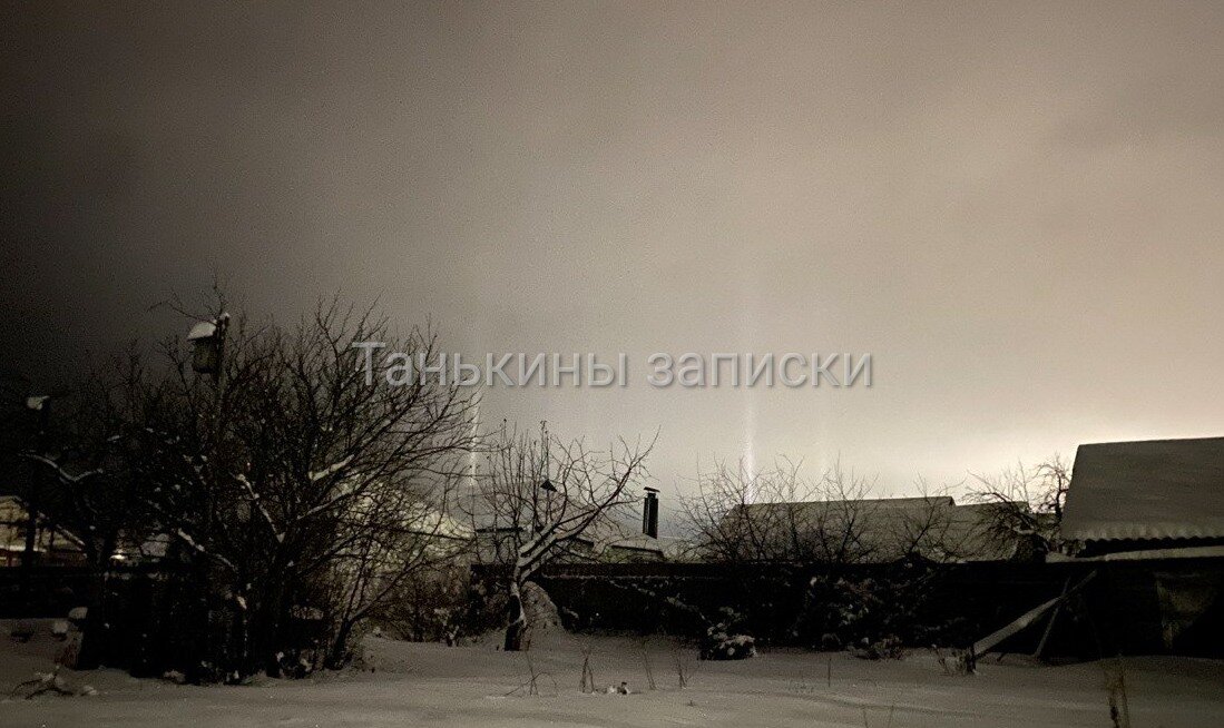 Бездомные коты зима. Скоро весна скоро. Сергей есенин стихотворение поет зима аукает. Весна скоро придет. Вот и все.