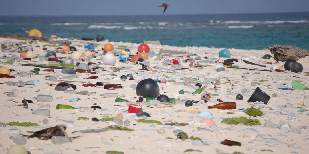 Японцы вывезли битое стекло на пляж. И это прекрасно