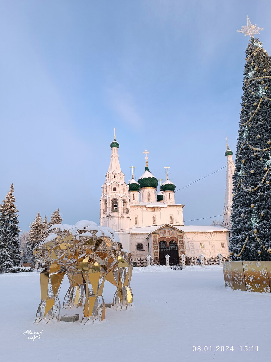Медведь на Советской площади. 
